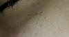 post-37809-0-70493400-1415888350_thumb.j