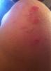 post-37809-0-05924800-1324430008_thumb.j