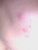 post-37809-0-43983600-1388009481_thumb.p