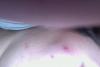 post-37809-0-66694100-1388068684_thumb.j