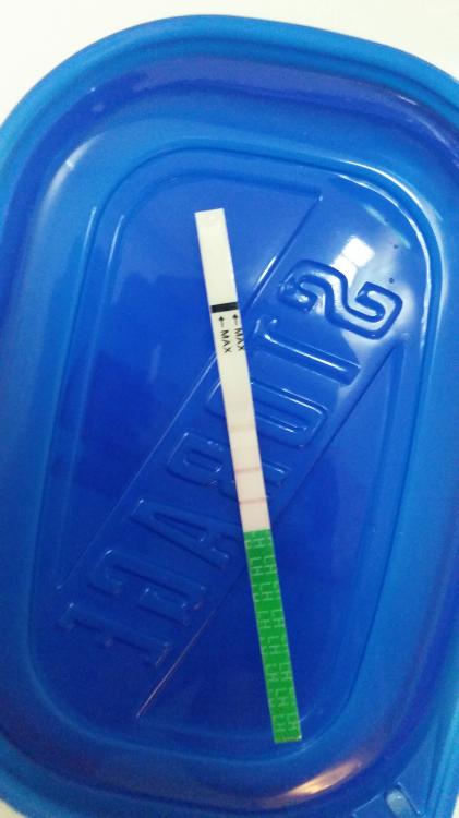 20151213_103638.jpg