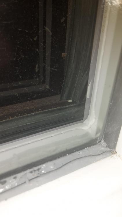 20160229_140835.jpg
