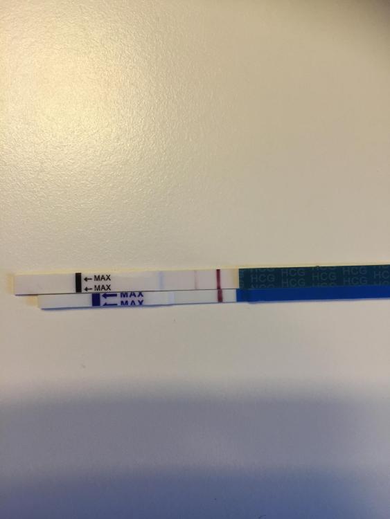 image.thumb.jpeg.98baad2e83a19162b672f25