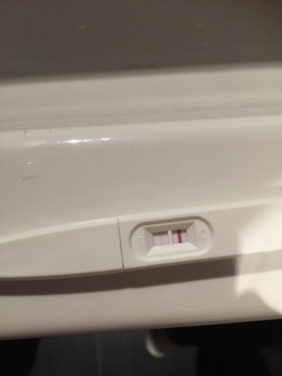 image.jpeg