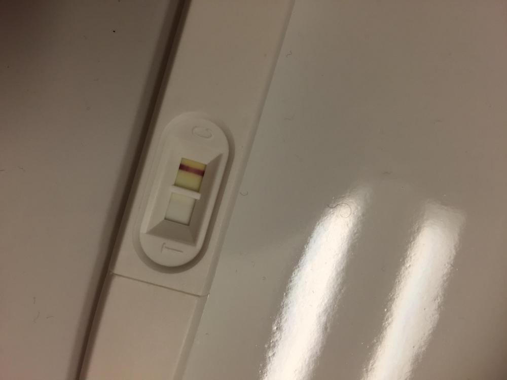 image.jpeg