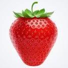 strawberryjaw