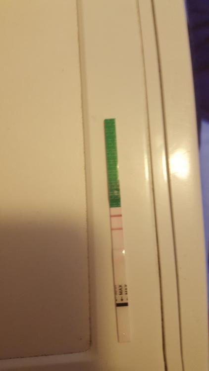 1464682917093-1551298365.jpg