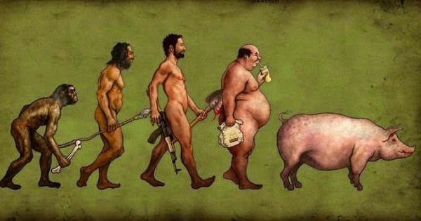 man-evolution-menrpigs-pig-man hater-misogyny-douchebag.jpg