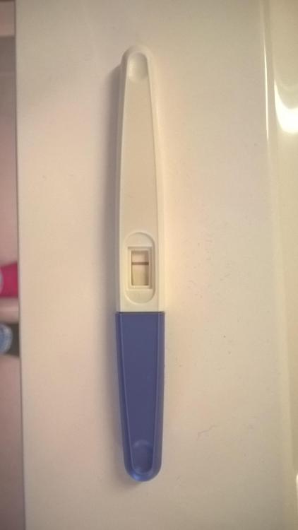WP_20160511_20_40_29_Pro.jpg