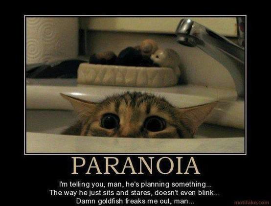 paranoia.jpg
