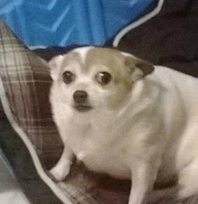 image.jpeg