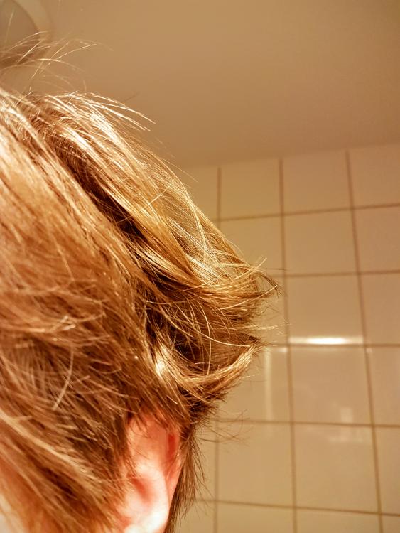 20160927_053710.jpg
