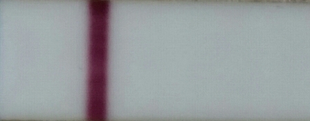 Pinne 1.jpg