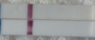 TEST MINDRE.jpg
