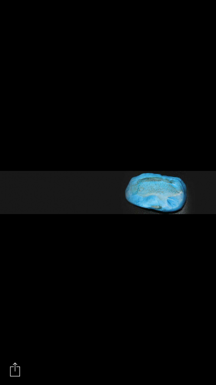 IMG_4554.PNG