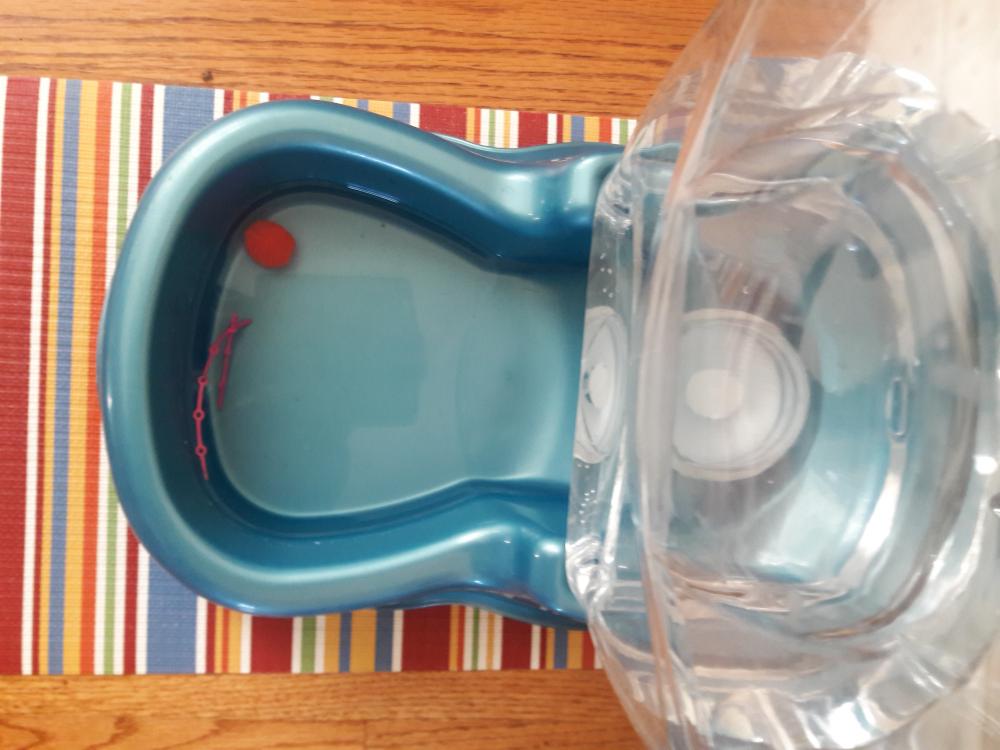20170315_093626.jpg