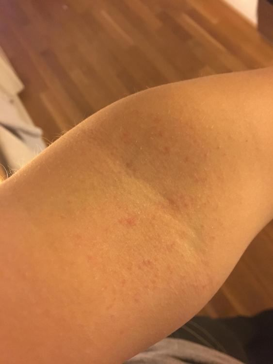 IMG_0756.JPG