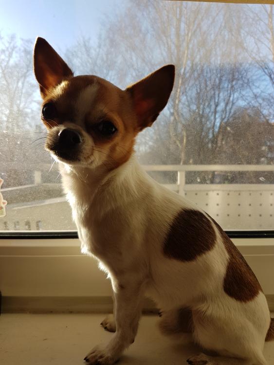 20170315_162846.jpg