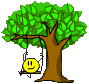 treeswing.gif.e77dbcce819dc817af9daa714b731b62.gif