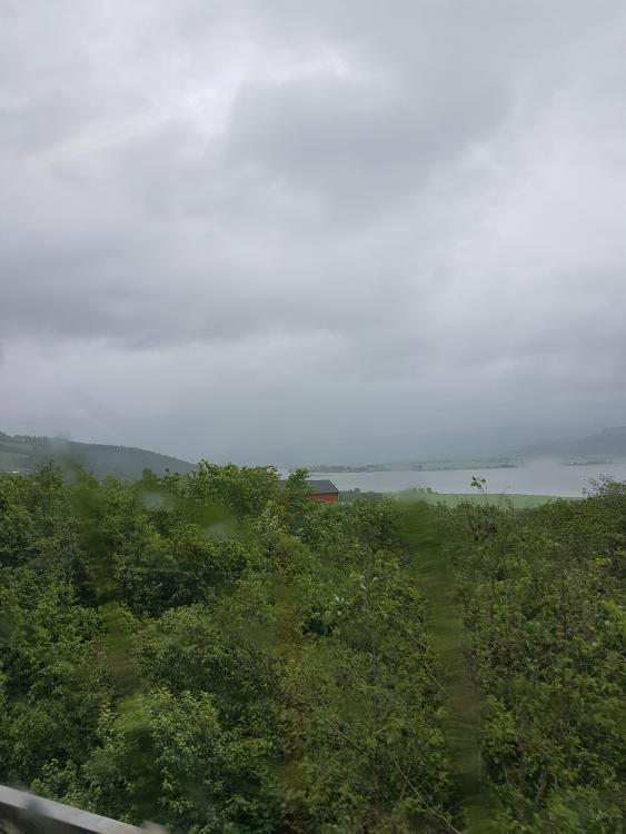 20170626_130817.jpg