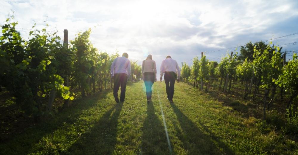 37942-groupofpeople-walking-nature-pexels.1200w.tn.jpg