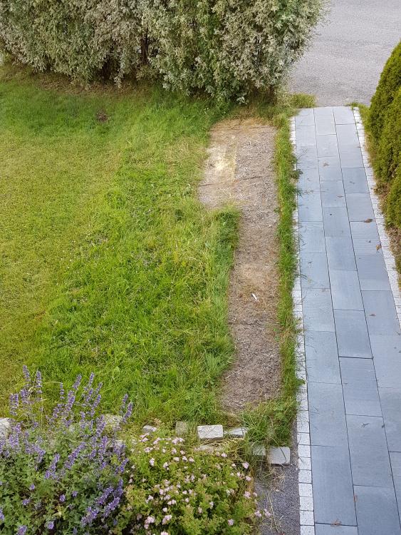 20170703_201345.jpg