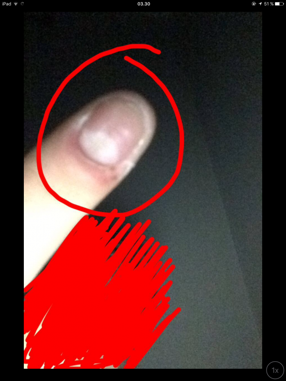 IMG_0532.thumb.PNG.9b044b0199a24589b32296a1b9e223e4.PNG