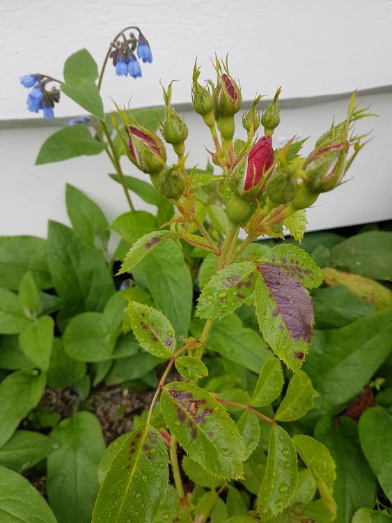 20170710_164025.jpg