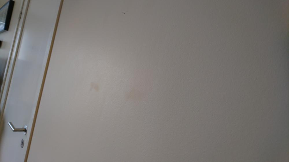 DSC_0009.JPG