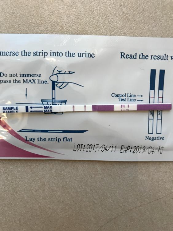 LH 15 dpo.jpg