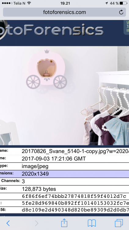 IMG_0971.PNG
