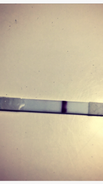 279B4928-BC6D-4AC5-AE41-BD0C7FA01752.png