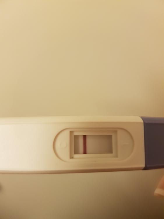 20171122_164426.jpg