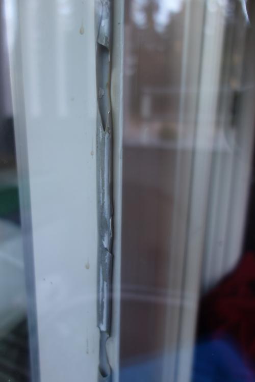 DSC02487.thumb.JPG.4e04e7e1fe93b80a79ea929d3e06a496.JPG