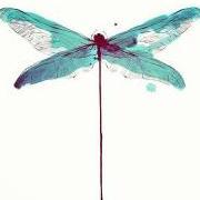 Dragonfly_