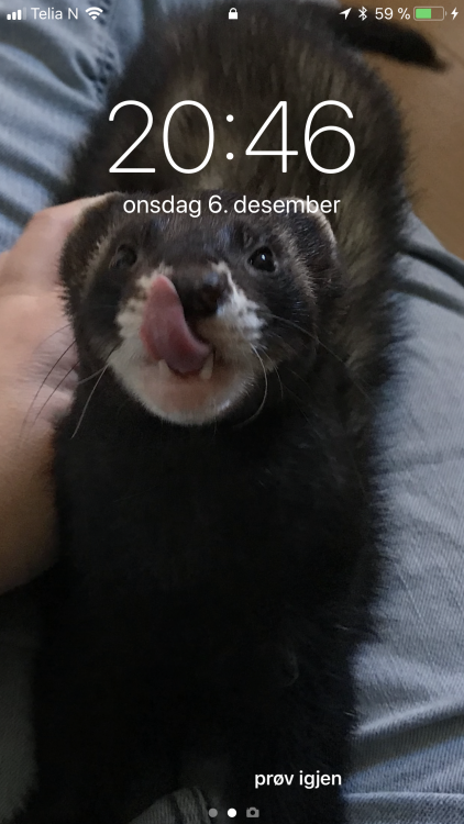 C7C744F8-41F7-42E3-AD6A-130D3BC528C4.png