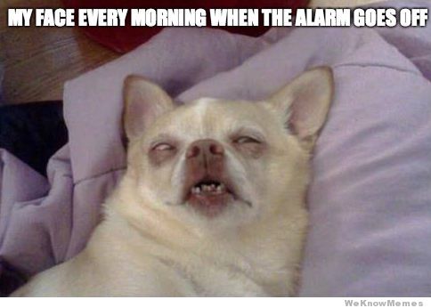 every-morning-when-the-alarm-clock-goes-off.jpg.6d9072d06c3f2ce7c4ad5d567663a55c.jpg