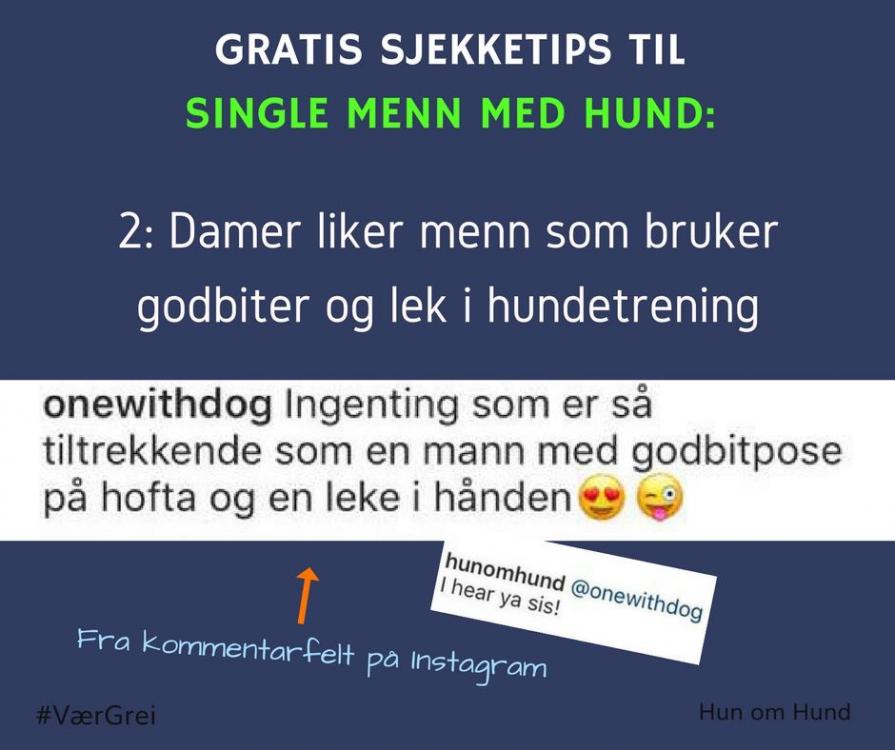 D71BB248-FD32-4037-ABD4-8A50FFA76BF1.thumb.jpeg.2d161291fbb620c9d363c0ab8e3c6a35.jpeg