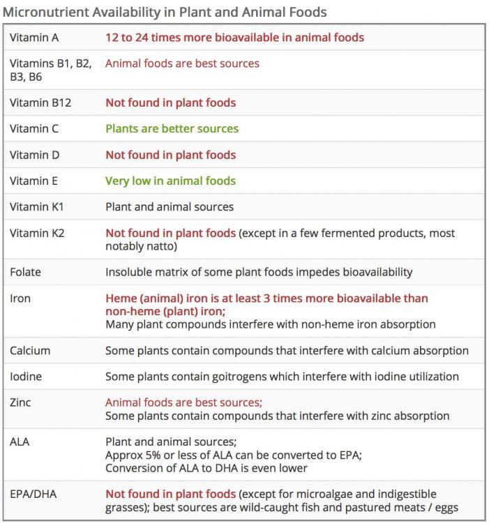 micronutrients-meats.thumb.jpg.486b805300ec07ce9447169127ae7aa2.jpg
