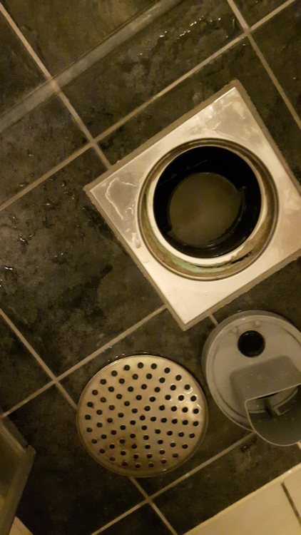 image.thumb.png.0a731666fe6439a6c3b751fcc11917f7.png
