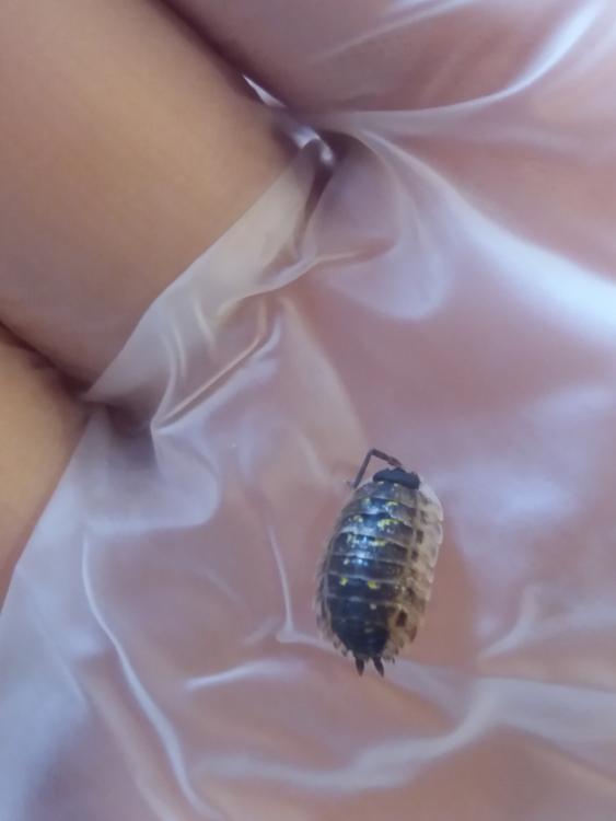 20180424_101300.jpg