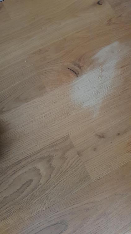 20180621_171127.jpg