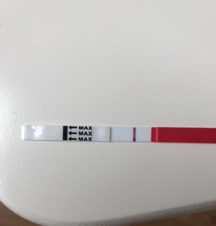 CE7E1D0A-E197-4B04-BB83-3F83EF0EA6DD.thumb.jpeg.26825b34837e5cef629db47c1f22a26c.jpeg