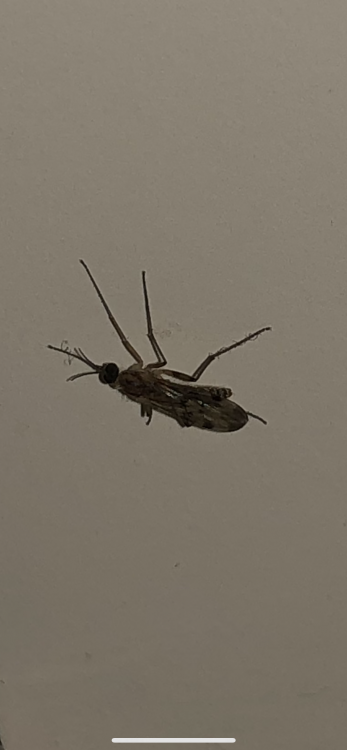 3A943030-2BF7-4BAF-A6C6-2080E1685701.png