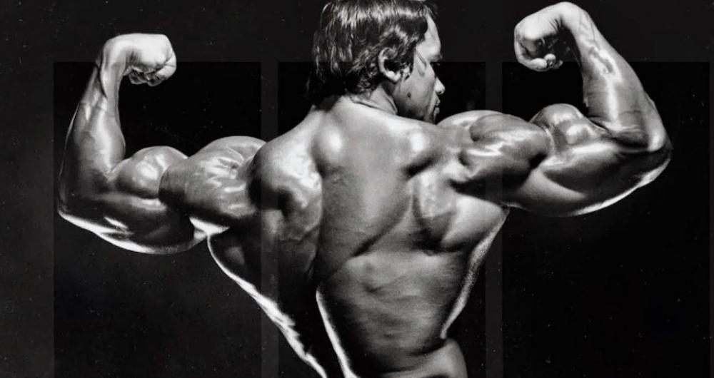 Arnold-Scwharzenegger-NO-Bulking-FB-1068x566.jpg