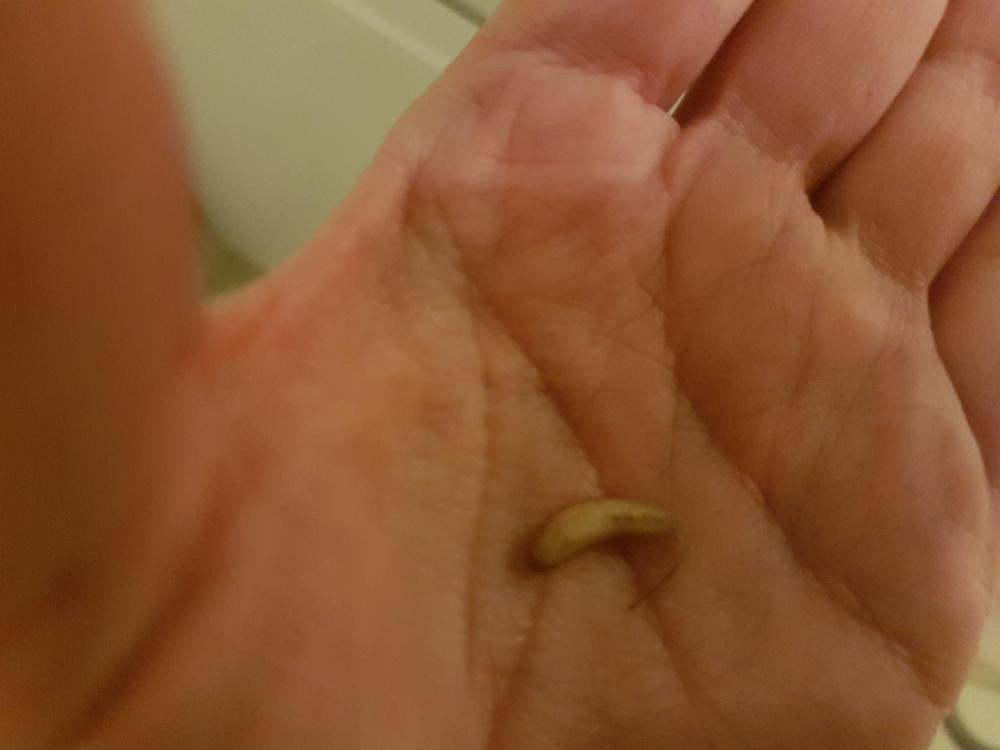 20180802_222642.jpg
