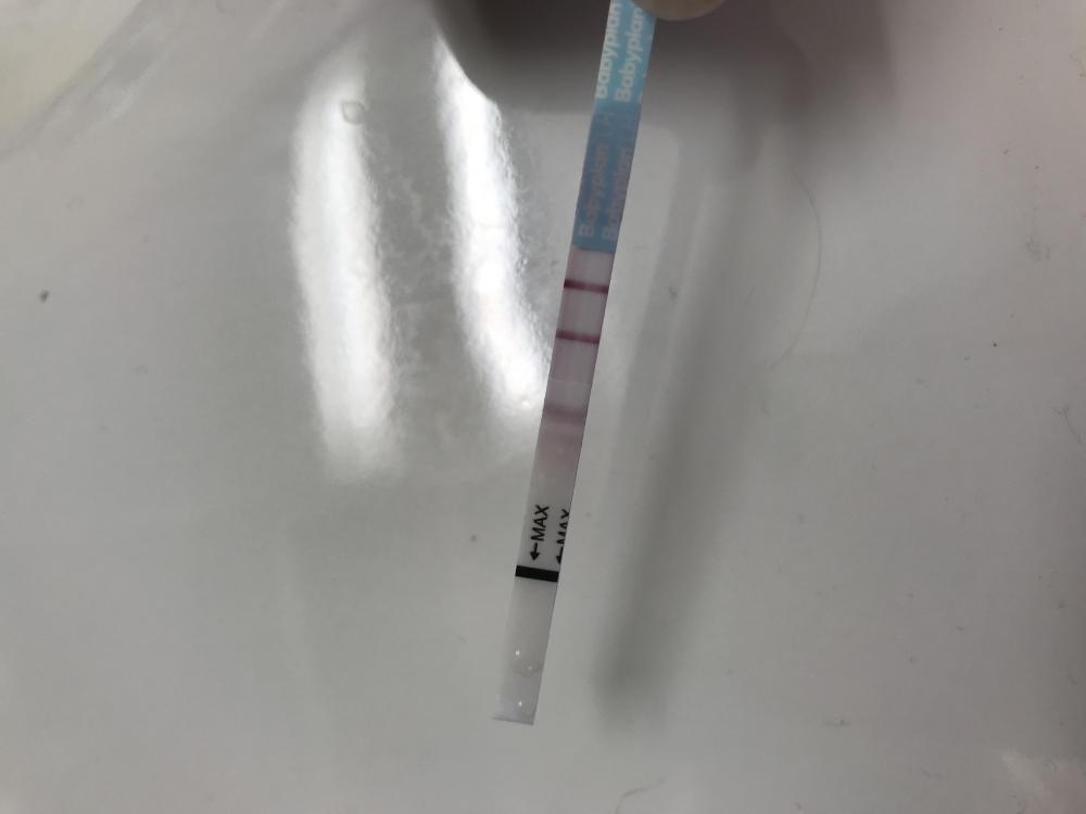 F786375E-DDA4-4DCC-ABB1-8FC11D34B09A.jpeg