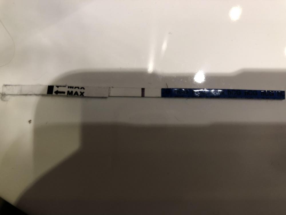 BDEDF391-6920-4568-A811-EA1803E57B83.jpeg