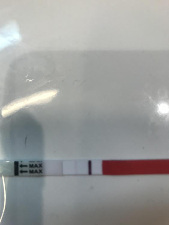 DEC92FB9-D117-4C9D-8424-B0816AD2887D.jpeg