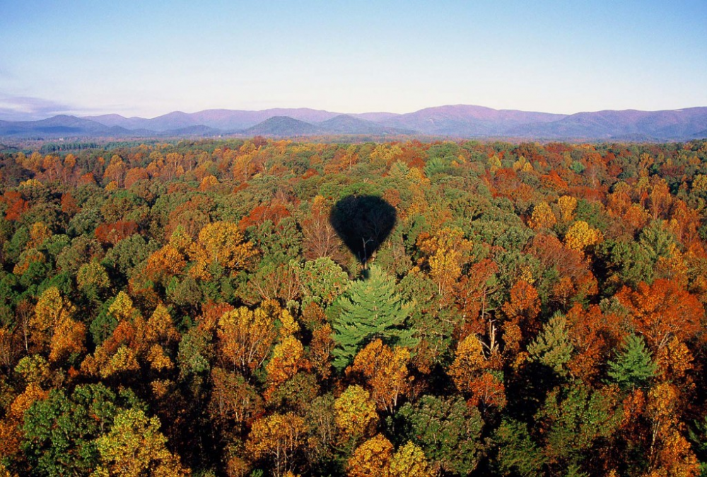 image.thumb.png.e88f2d8a2e4200562010f09c7297e6be.png